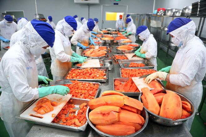 越南水果過剩悖論 加工工廠為何“缺”原料？