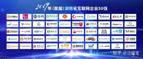 搜云科技榮獲“湖南互聯網50強企業”稱號，引領湖南網絡創新發展