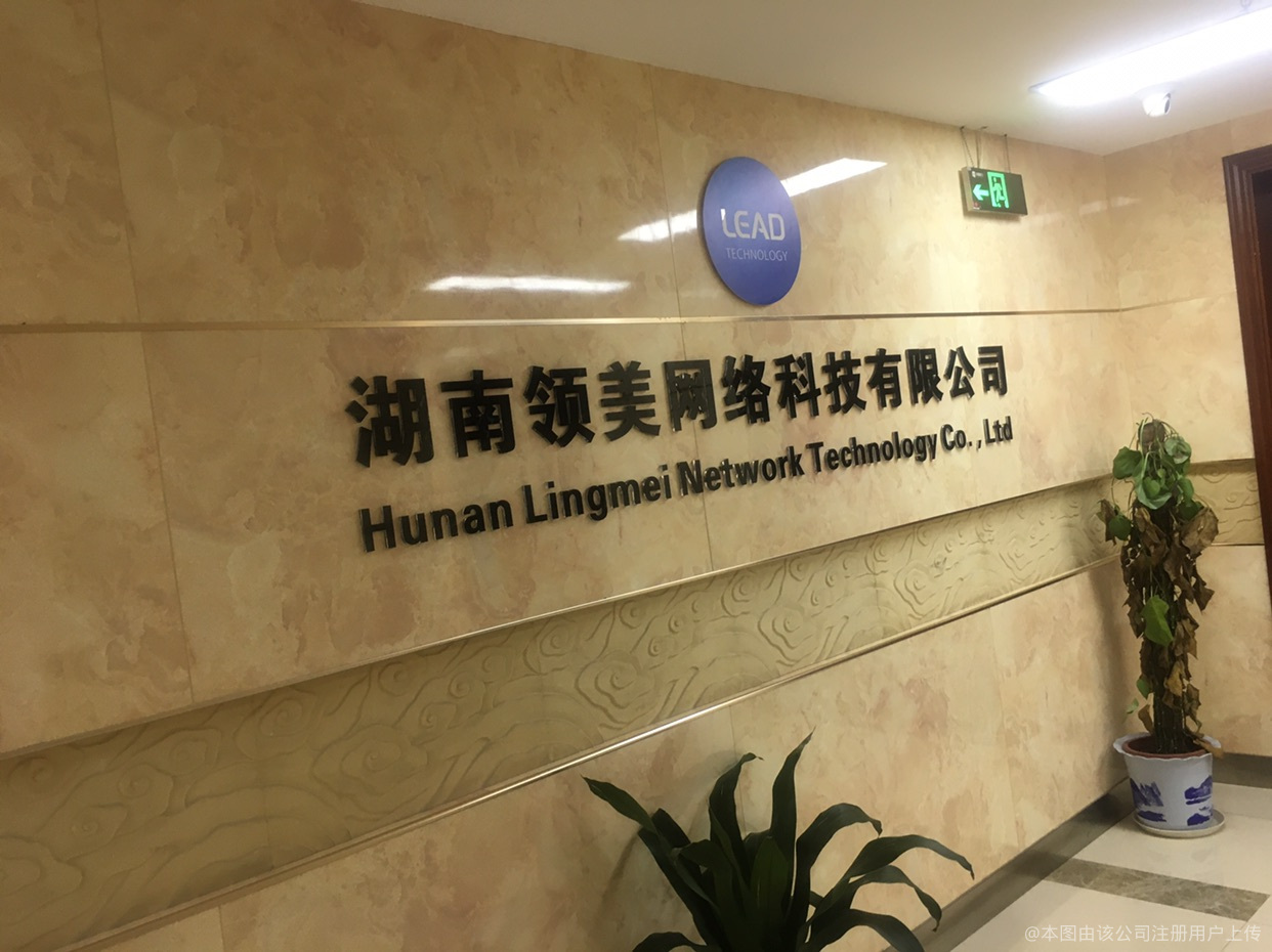 聚焦湖南領美網絡科技 湖南網絡產業發展的新型驅動力